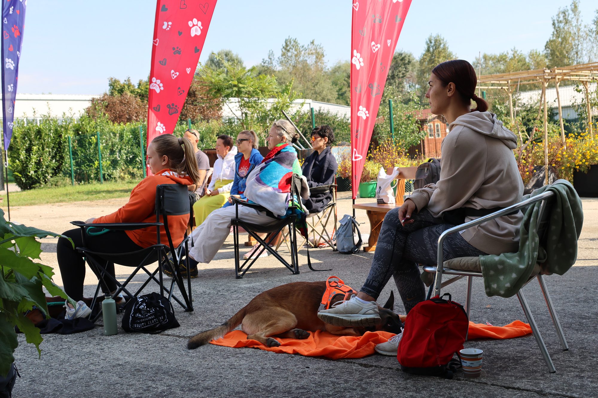 Rad sa psima i rehabilitacija