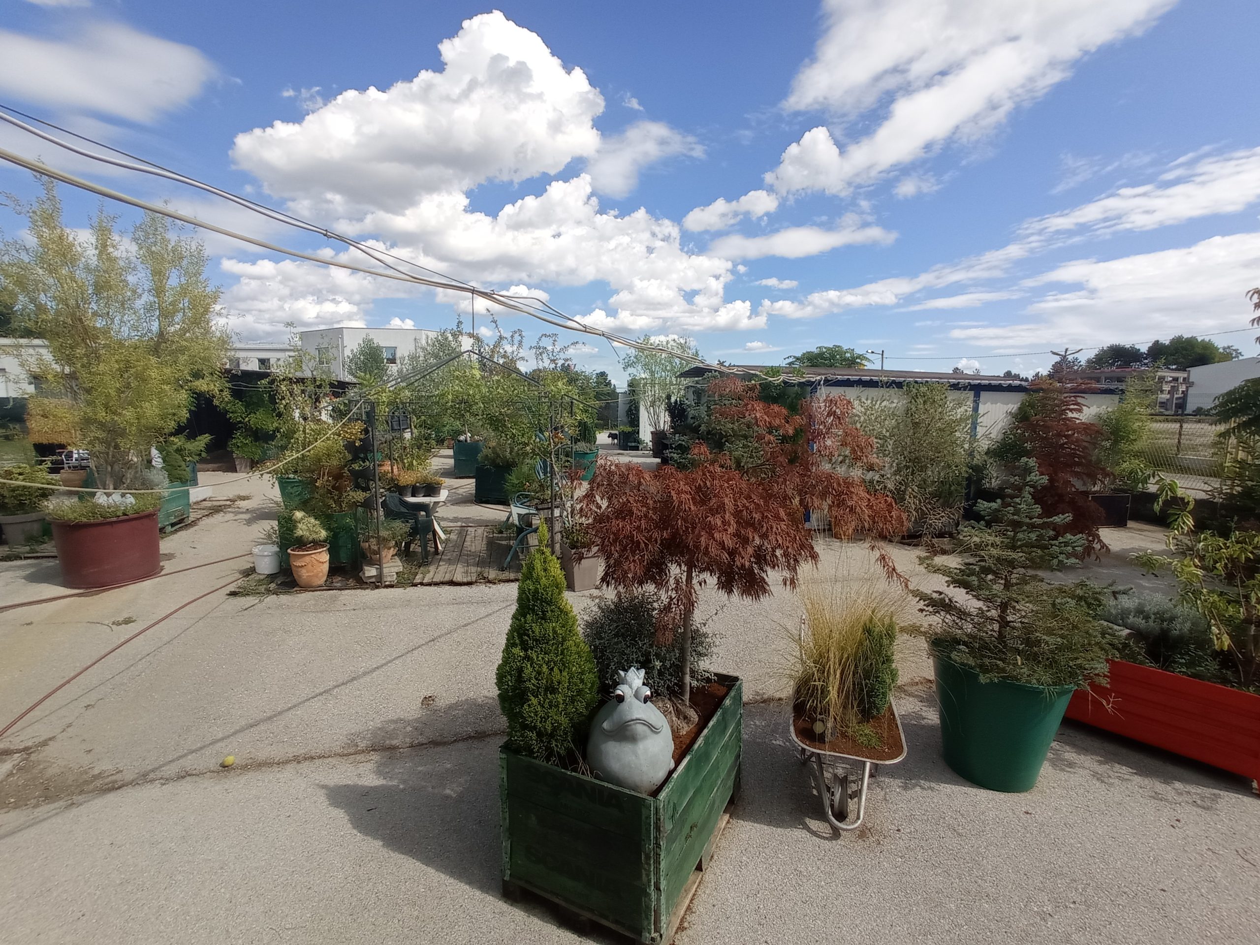 Počeci udruge i prijašnji teren